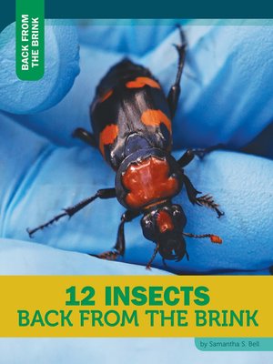cover image of 12 Insects Back From the Brink